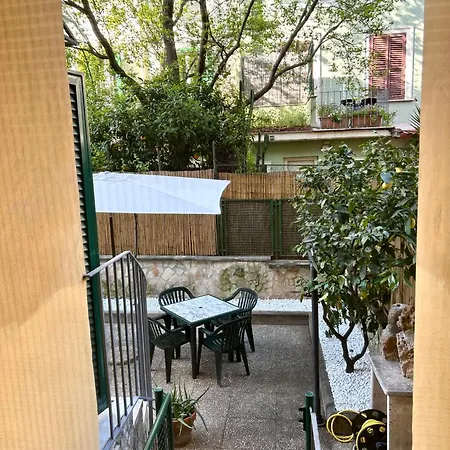 Exquilia & Garden At The Colosseum 로마