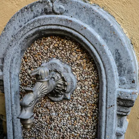 Exquilia & Garden At The Colosseum 로마